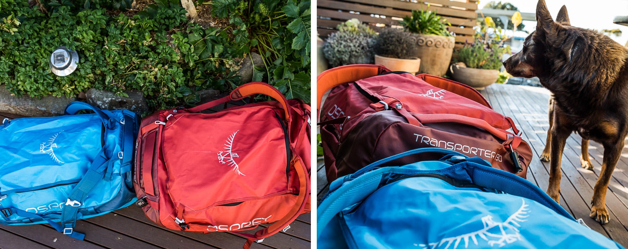 osprey transporter 95 duffel bag review