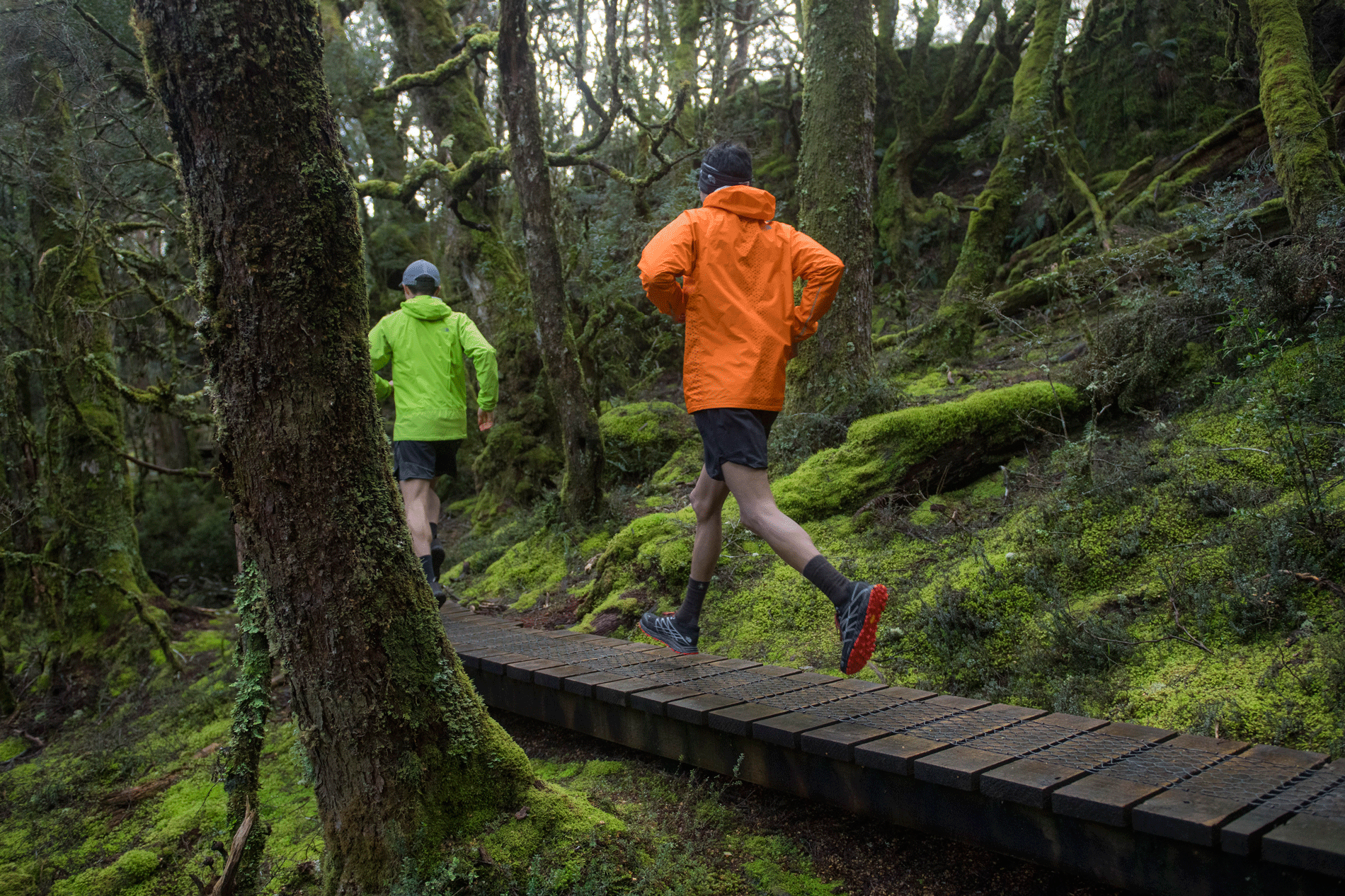 bushwalking gear