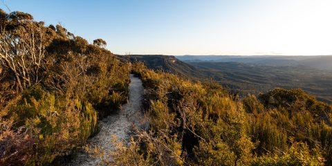 Trail in Blue Mountains