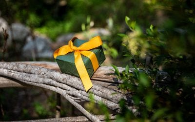 Bush gift ideas for hikers and people who love the outdoors. Christmas gift in the Australian bush
