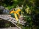 Bush gift ideas for hikers and people who love the outdoors. Christmas gift in the Australian bush