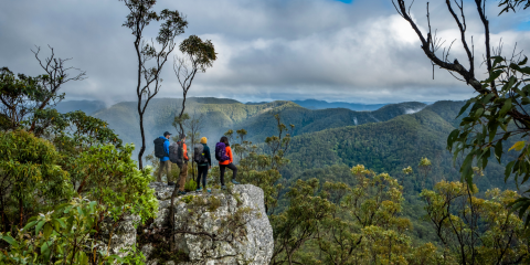 Brisbane Camping Guide