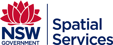 Spatial Services maps Logo