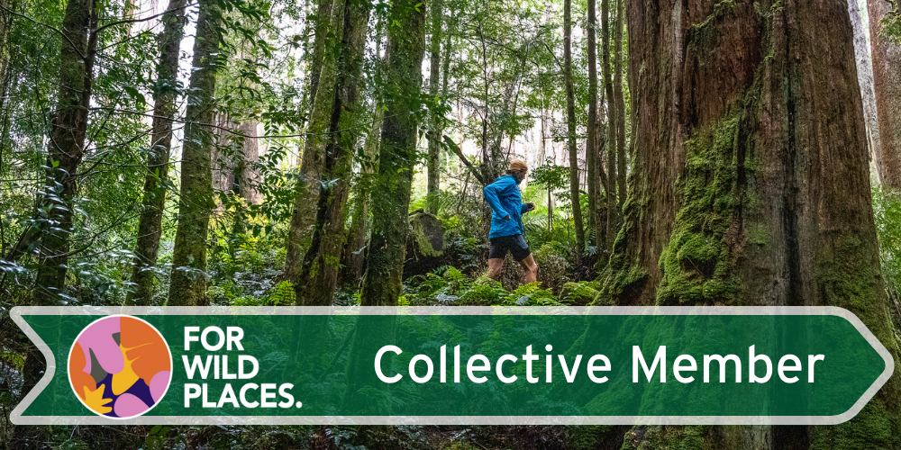 For Wild Places For Wild Places