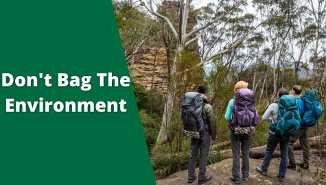Don't Bag The Environment | Sustainability