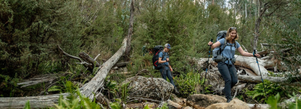 Hiker in bush with trekking poles
